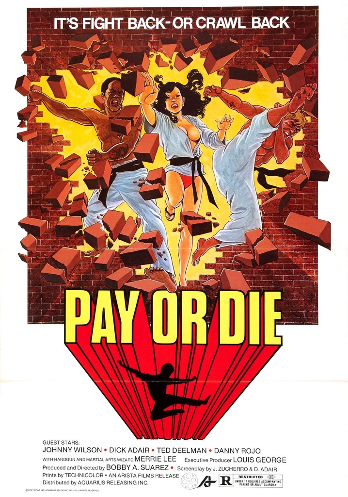 Pay or Die poster