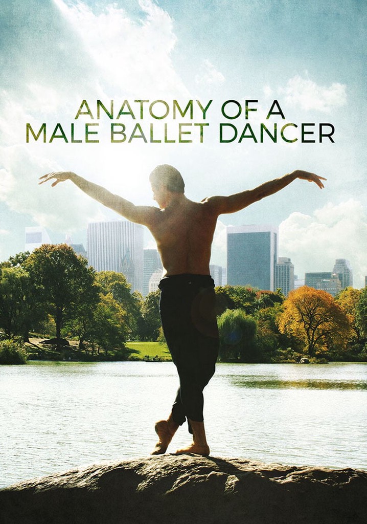 Anatomy of a Male Ballet Dancer poster