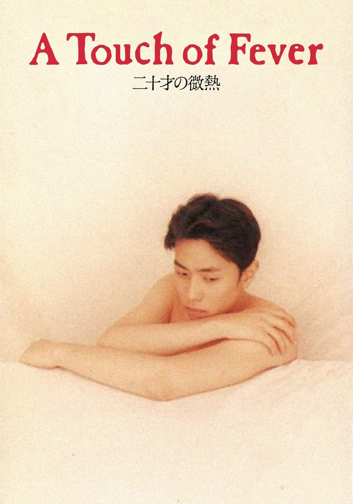 A Touch of Fever poster
