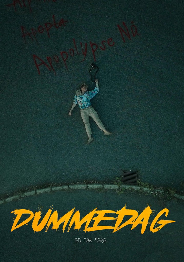 Dummedag poster