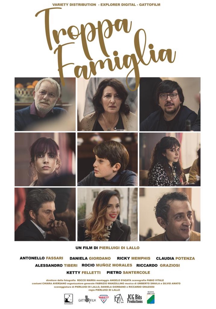 Troppa famiglia! poster