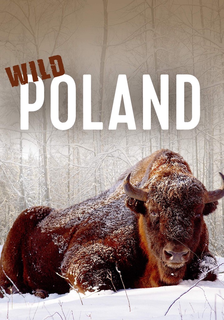 Wild Poland poster