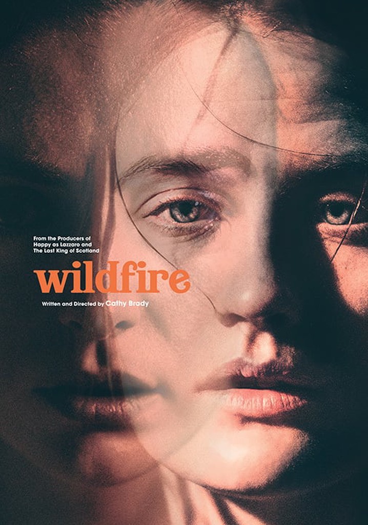 Wildfire poster