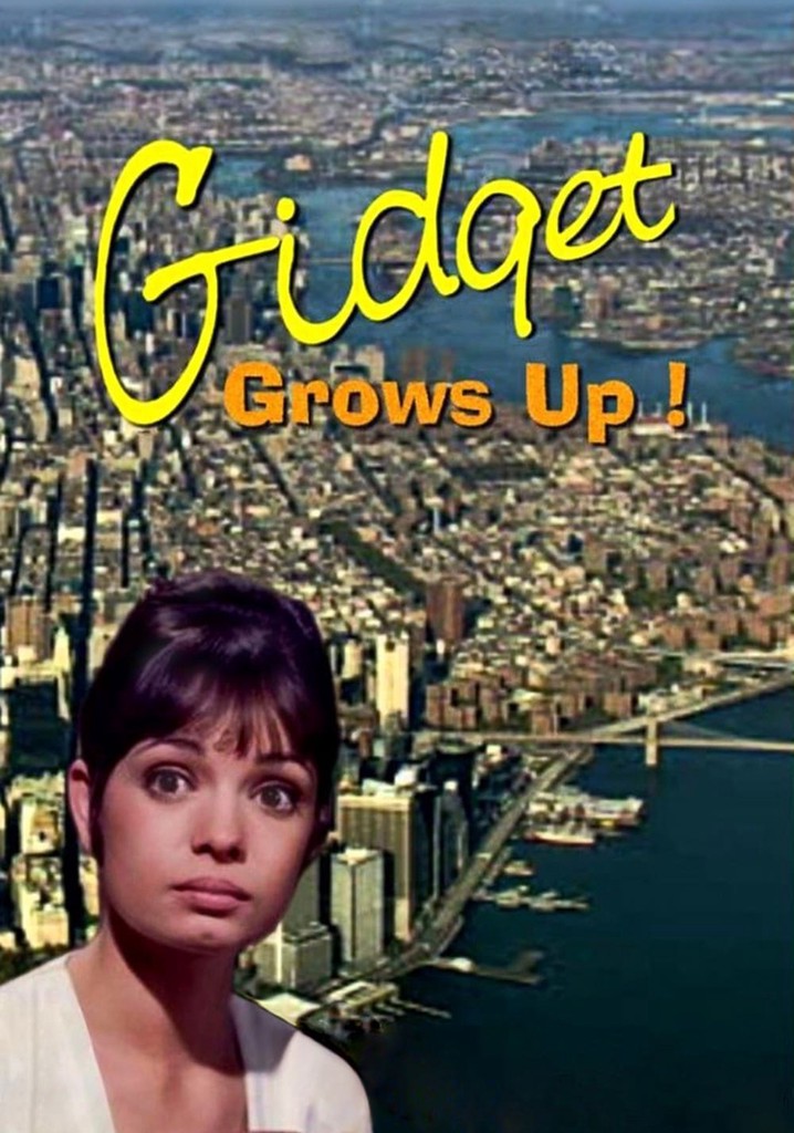 Gidget Grows Up poster