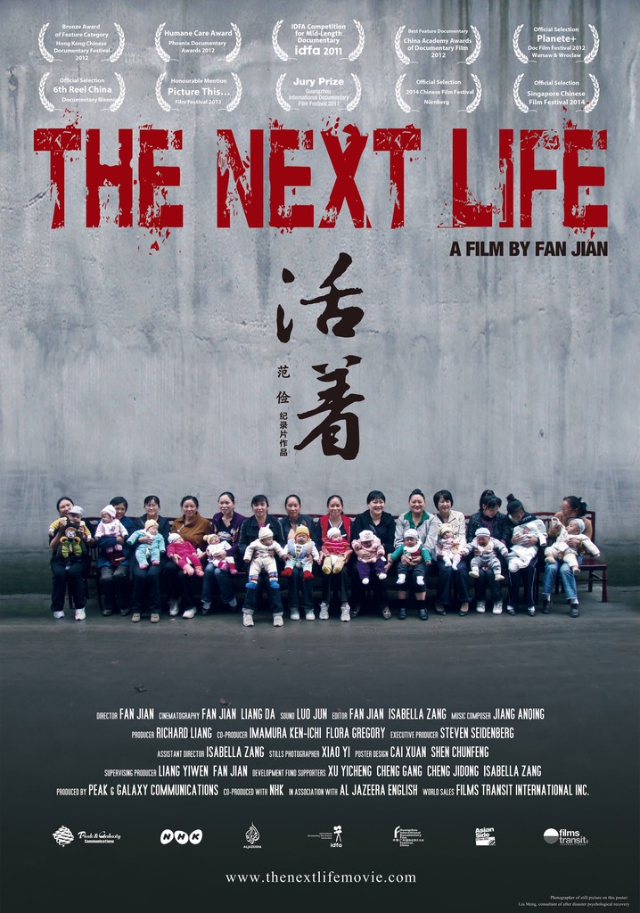 The Next Life poster