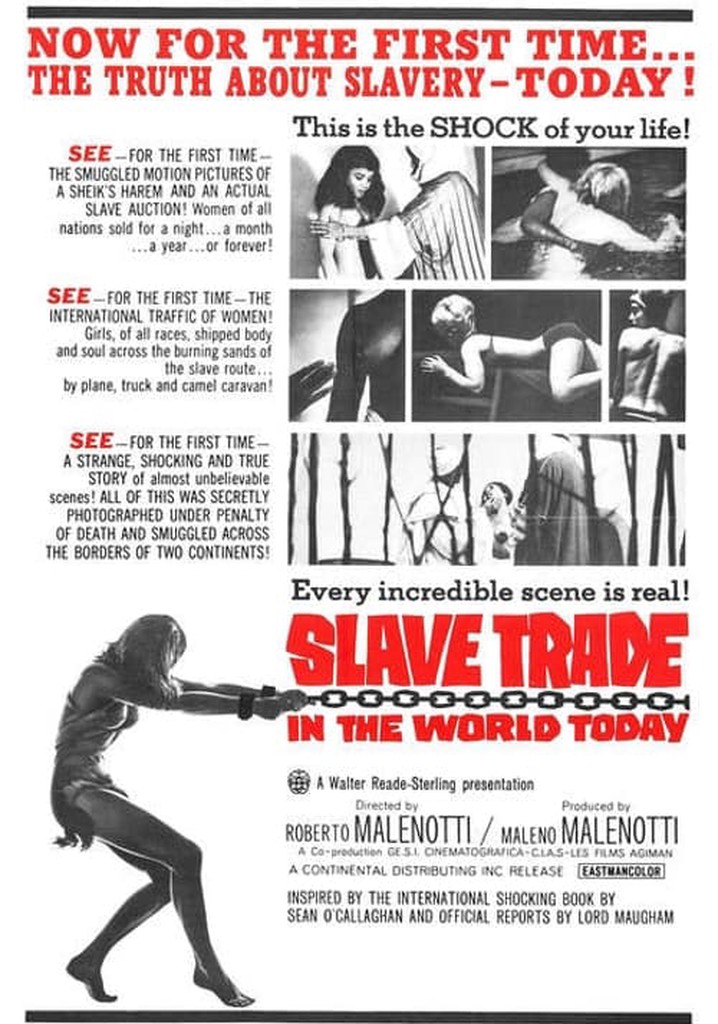 Slave Trade in the World Today poster
