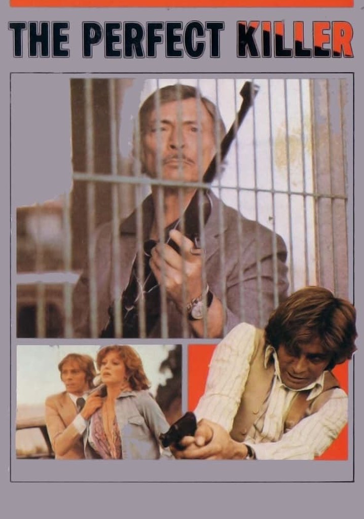 The Perfect Killer poster