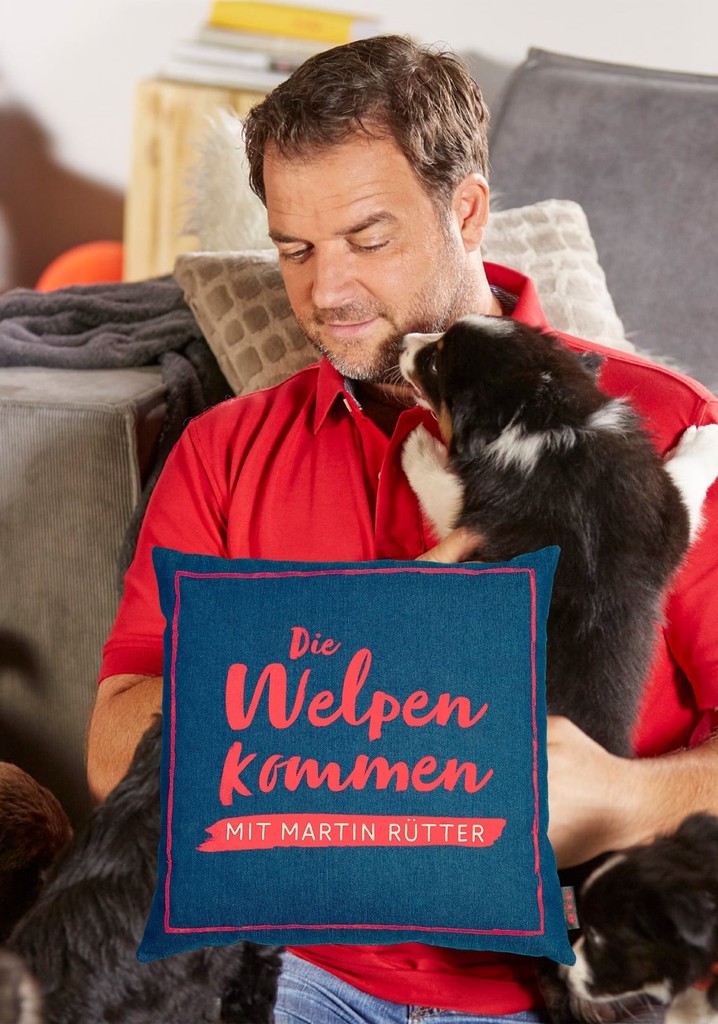 Martin Rütter – Die Welpen kommen poster