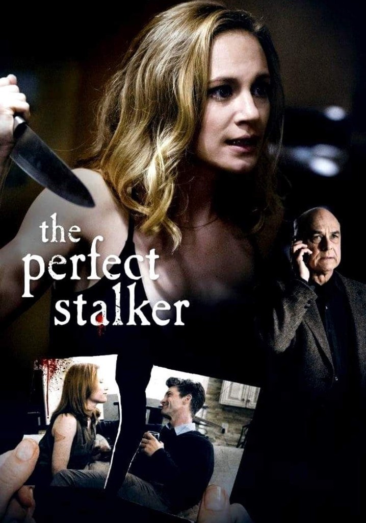 The Perfect Stalker poster