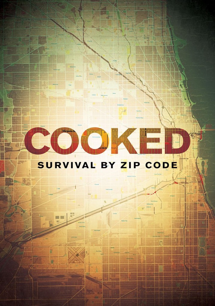 Cooked: Survival by Zip Code poster