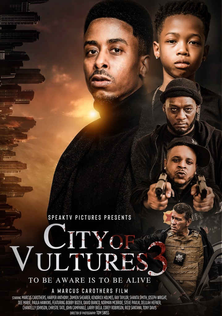 City of Vultures 3 poster