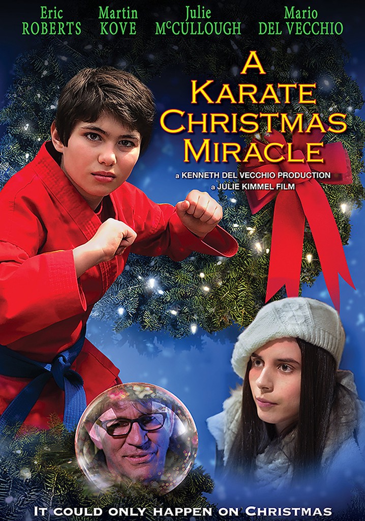 A Karate Christmas Miracle poster