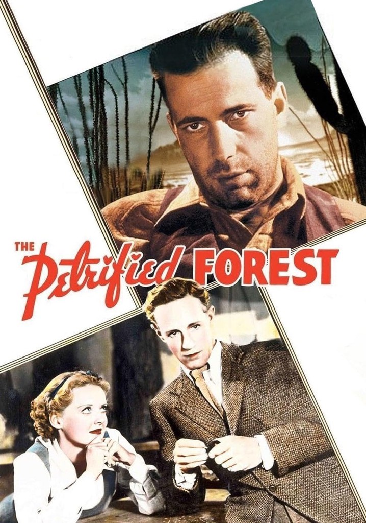 The Petrified Forest poster