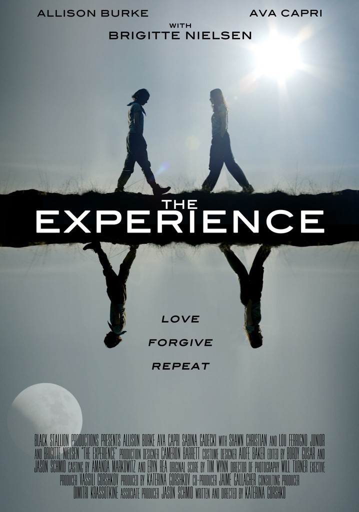 The Experience poster