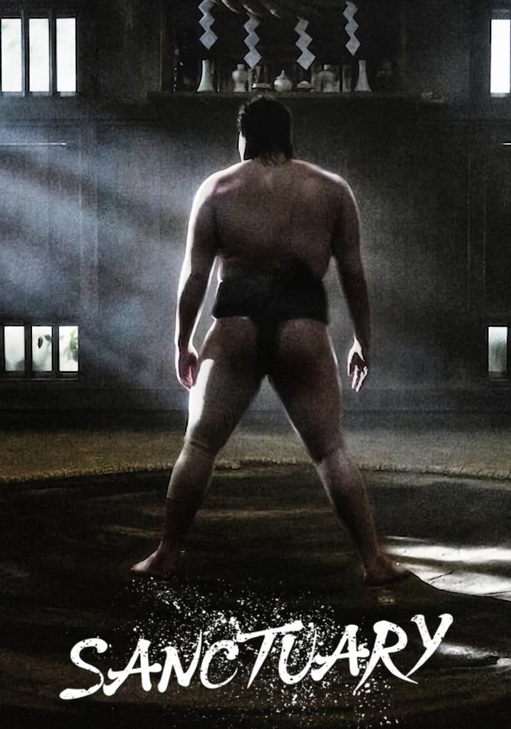 Sanctuary poster
