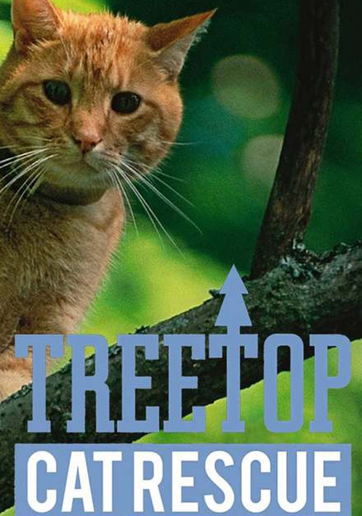 Treetop Cat Rescue poster