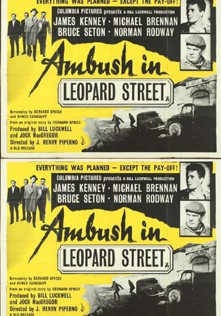 Ambush in Leopard Street poster