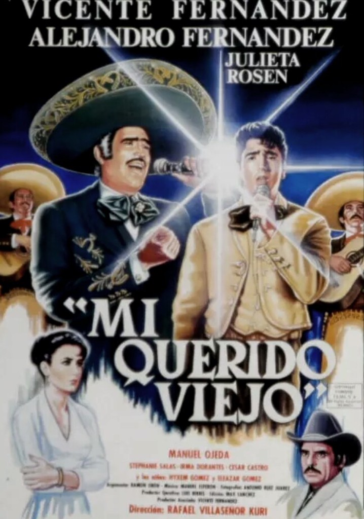 Mi querido viejo poster