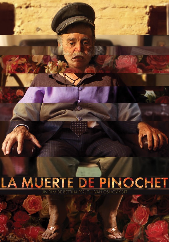 The Death of Pinochet poster