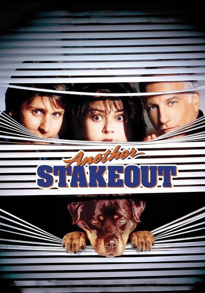 Another Stakeout poster