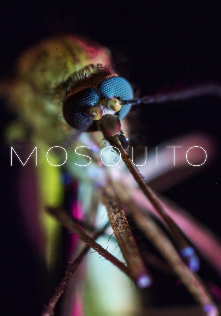 Mosquito poster