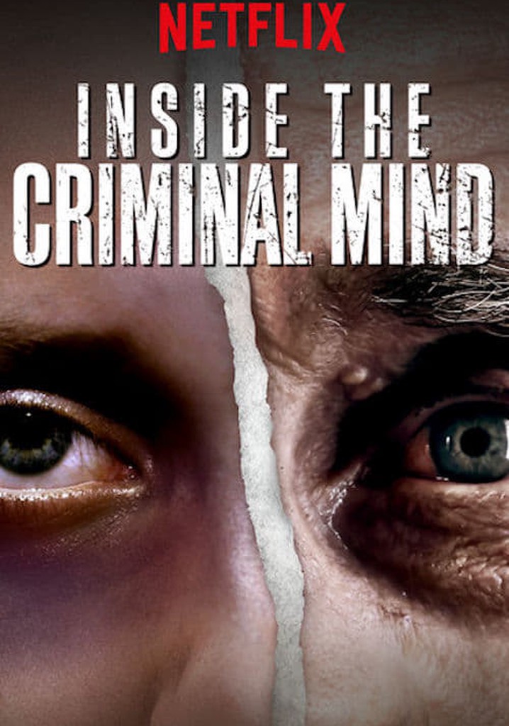 Inside the Criminal Mind poster