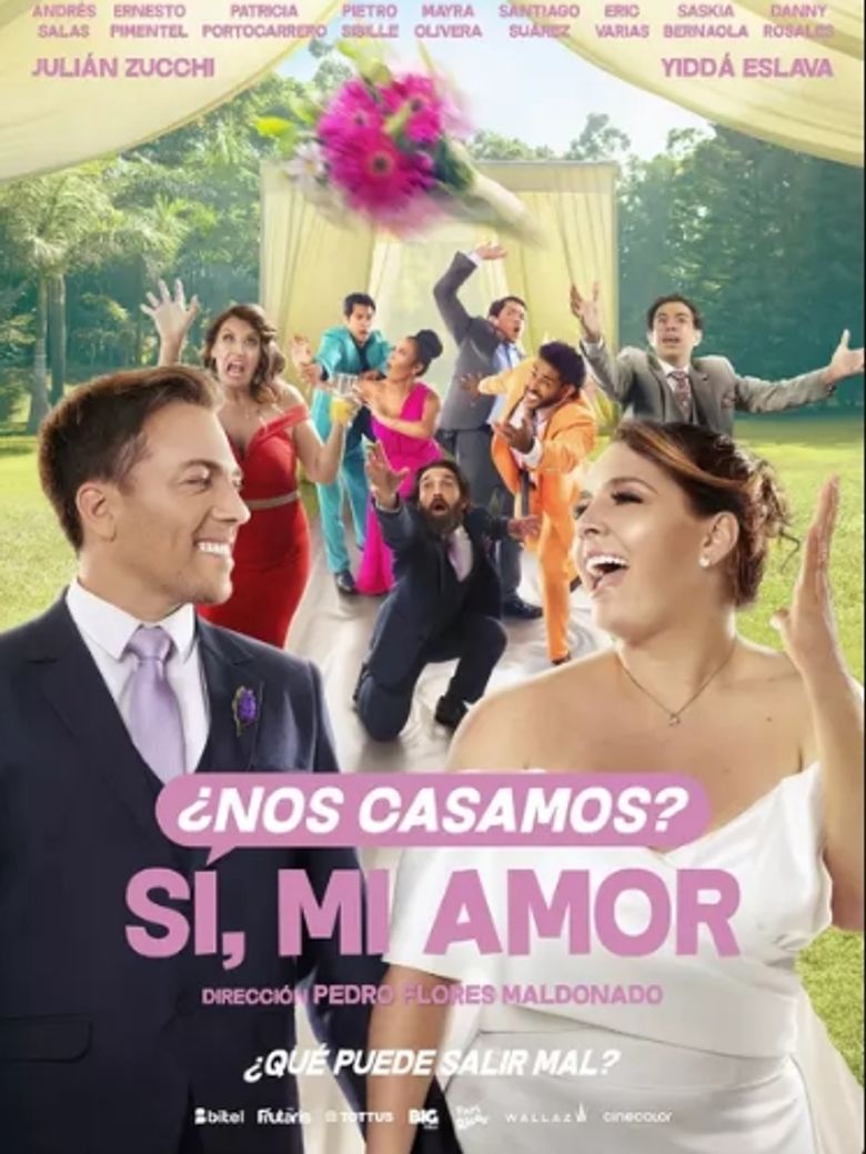 ¿Nos casamos? Sí, mi amor poster