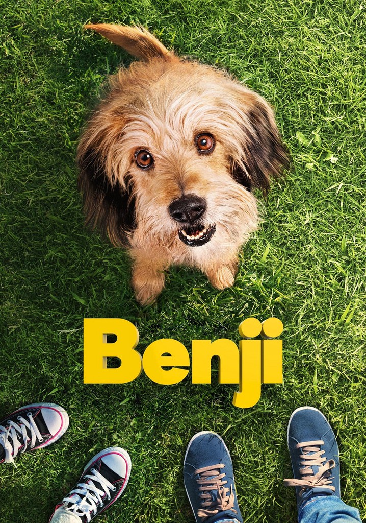 Benji poster