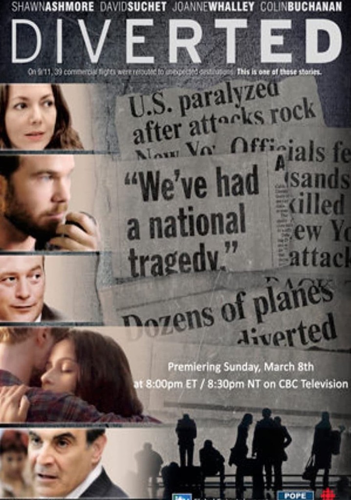 Diverted poster