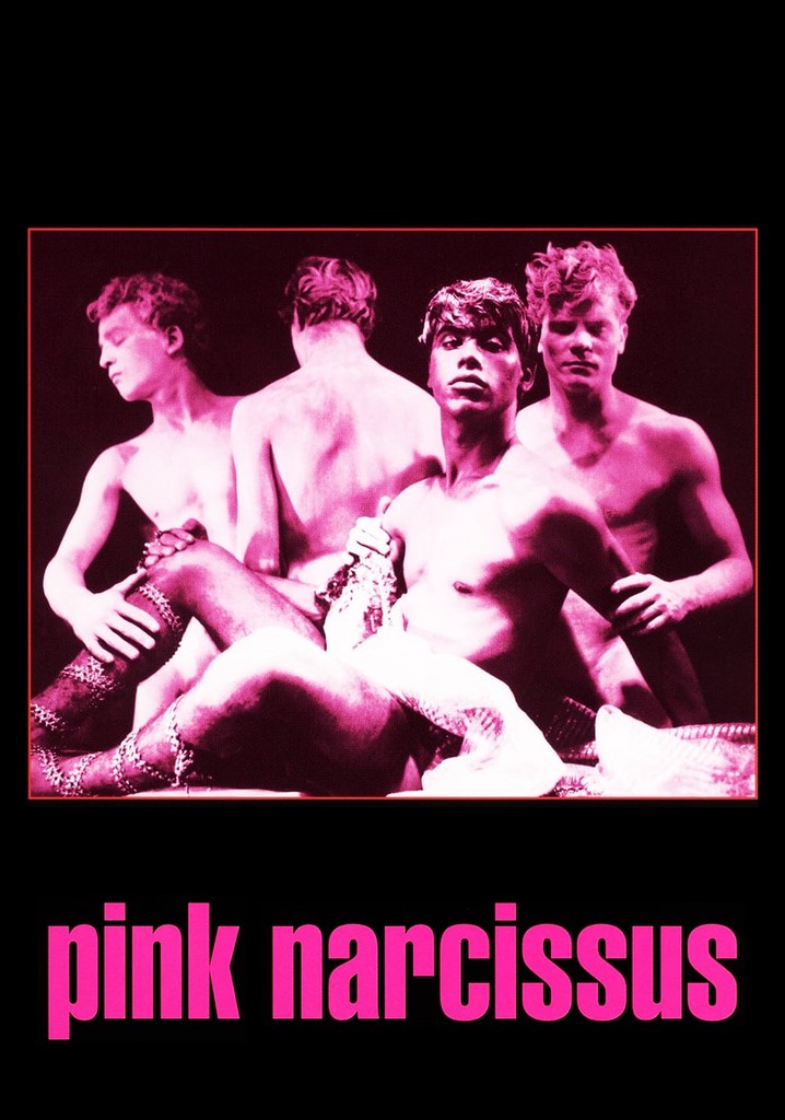 Pink Narcissus poster