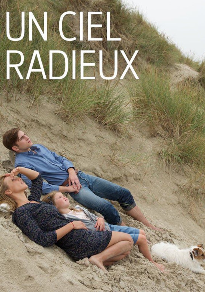 Un ciel radieux poster