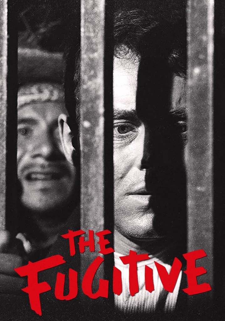 The Fugitive poster