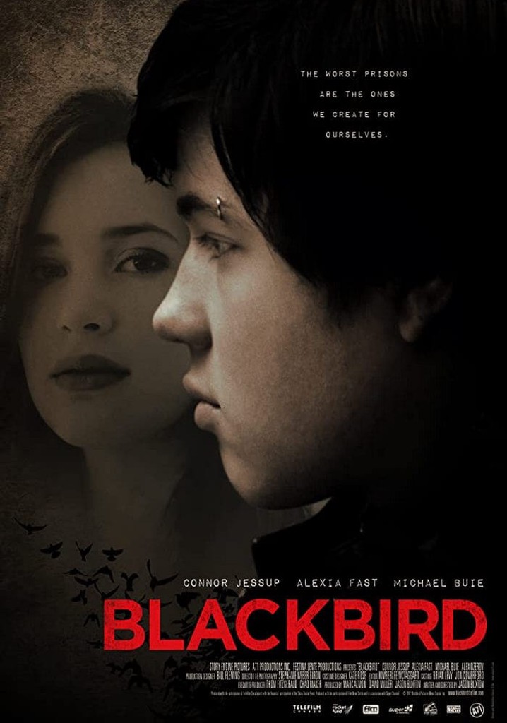 Blackbird poster