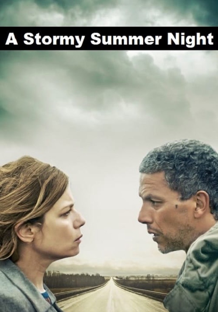 A Stormy Summer Night poster
