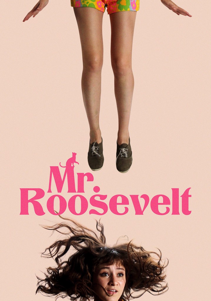 Mr. Roosevelt poster