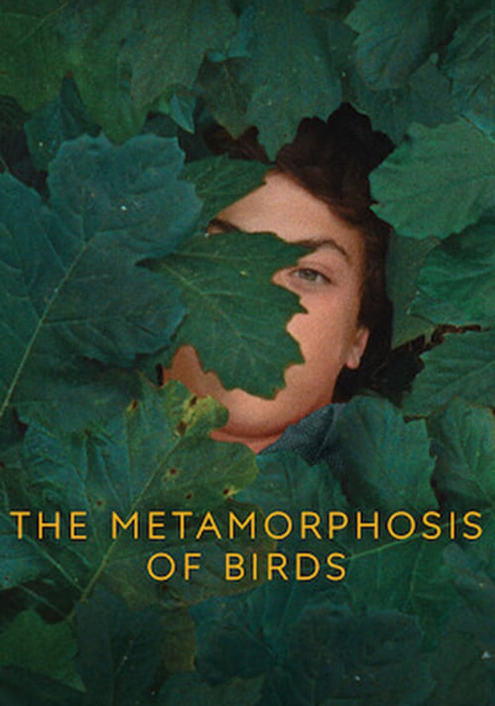 The Metamorphosis of Birds poster