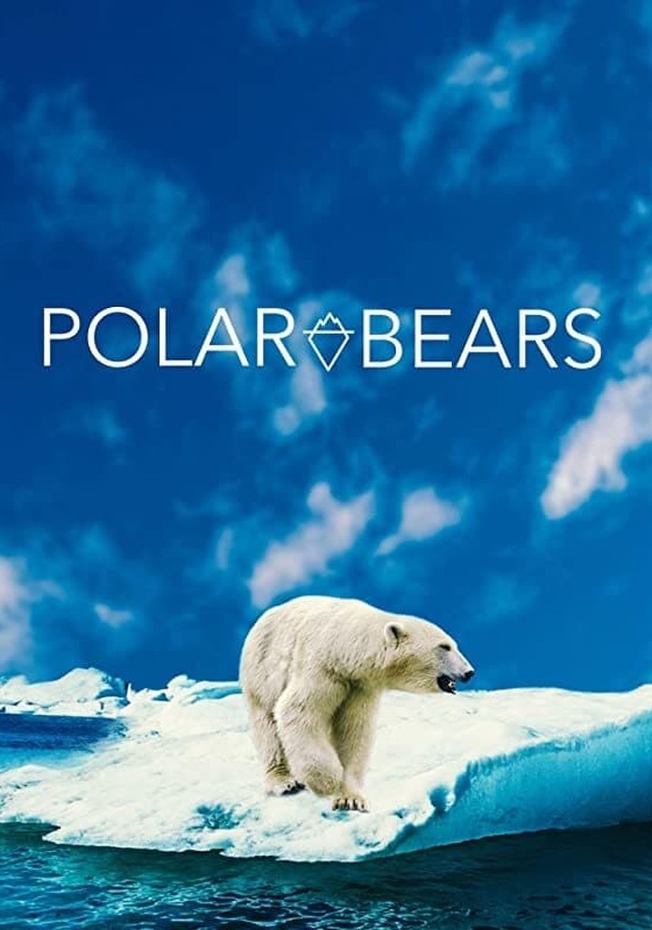 Polar Bears poster