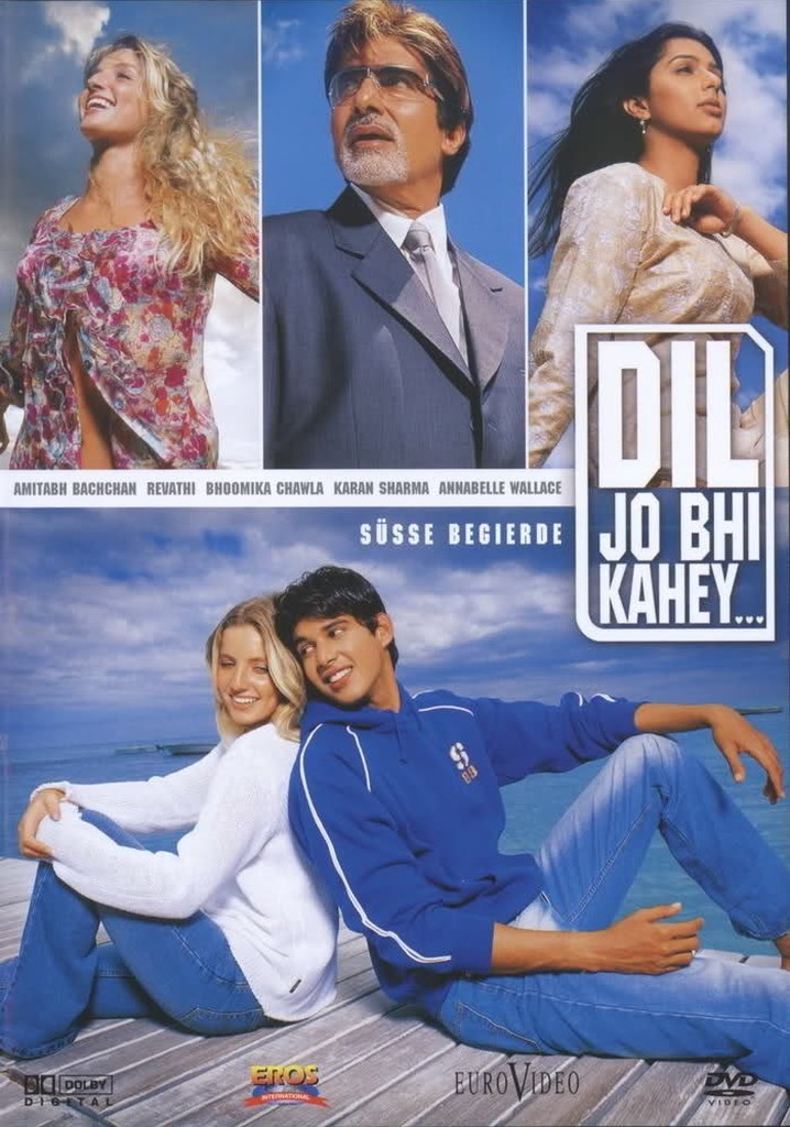 Dil Jo Bhi Kahey... poster
