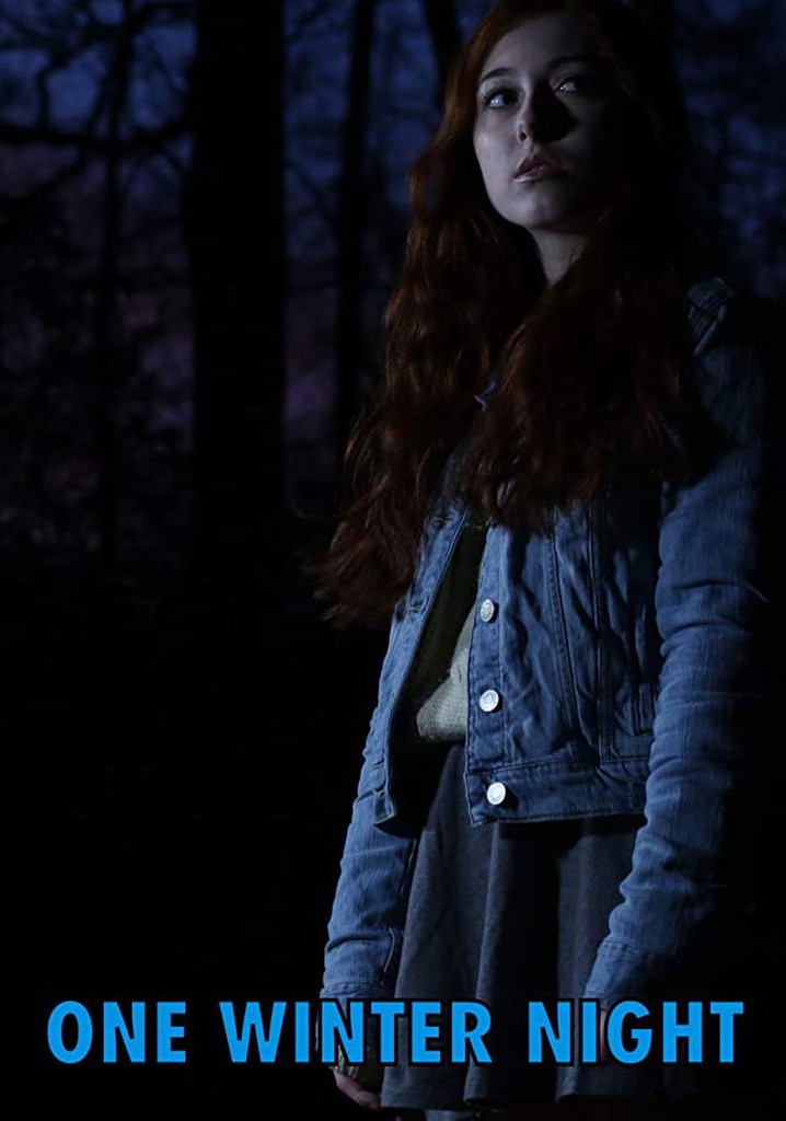 One Winter Night poster