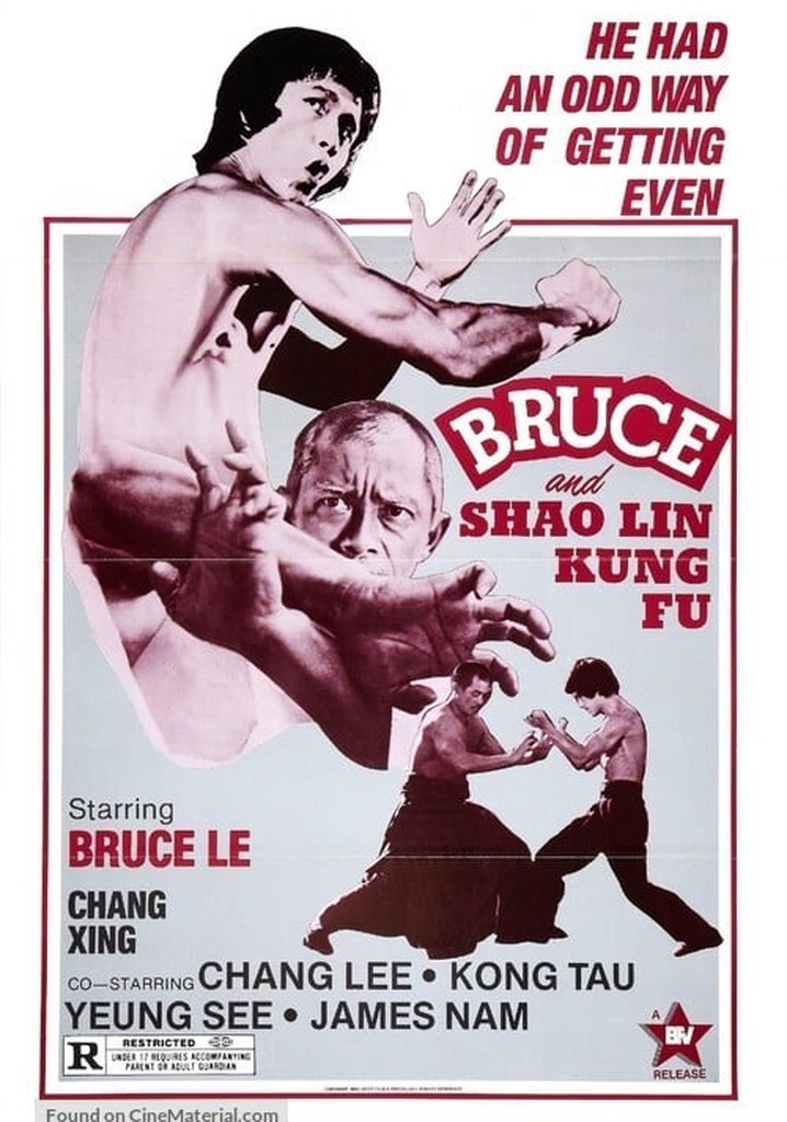 Bruce and Shaolin Kung Fu poster