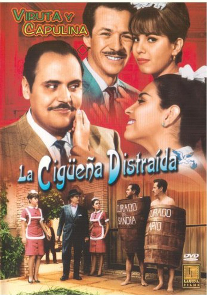 La cigüeña distraída poster