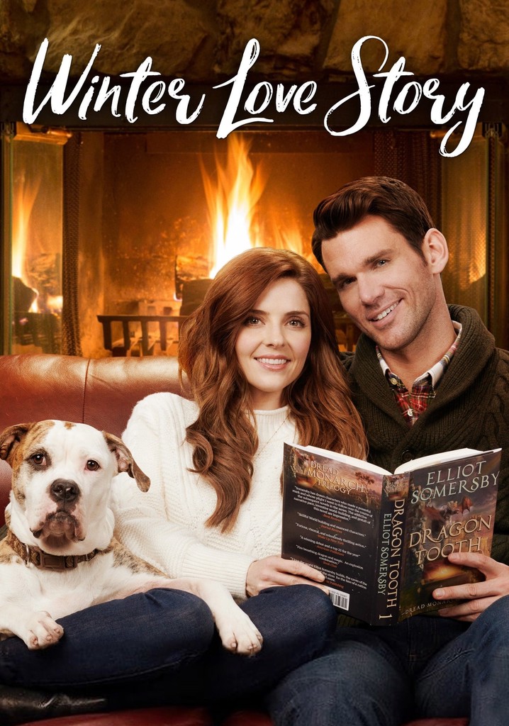 Winter Love Story poster