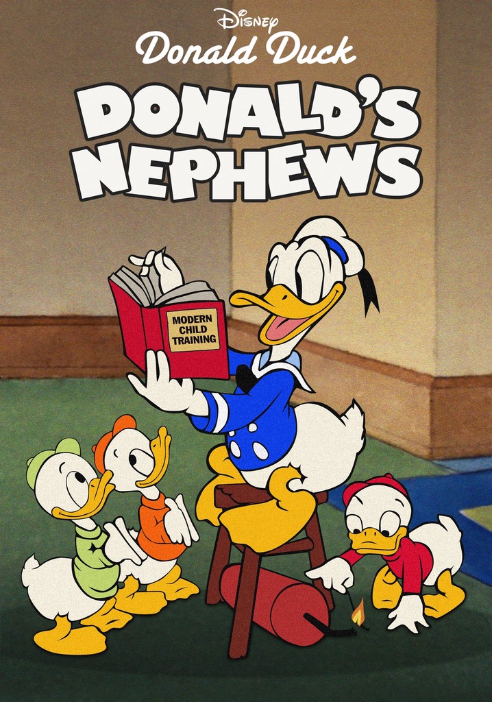 Donald's Nephews poster