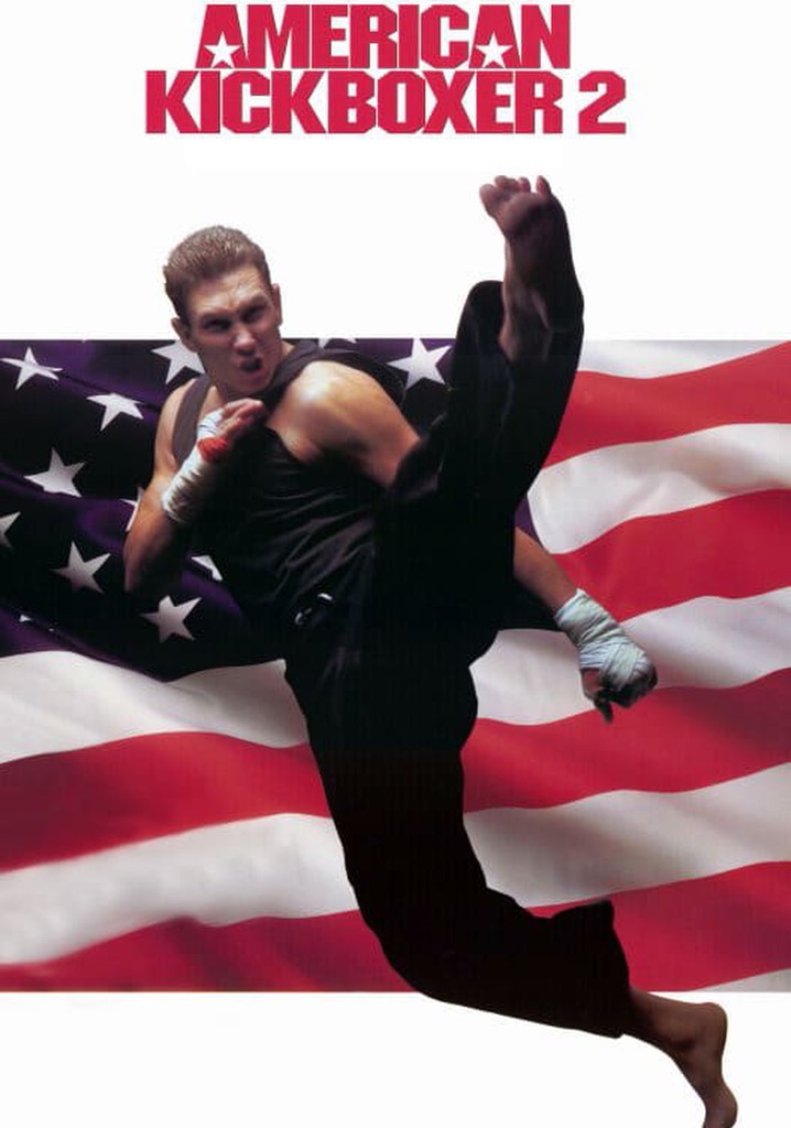 American Kickboxer 2 poster