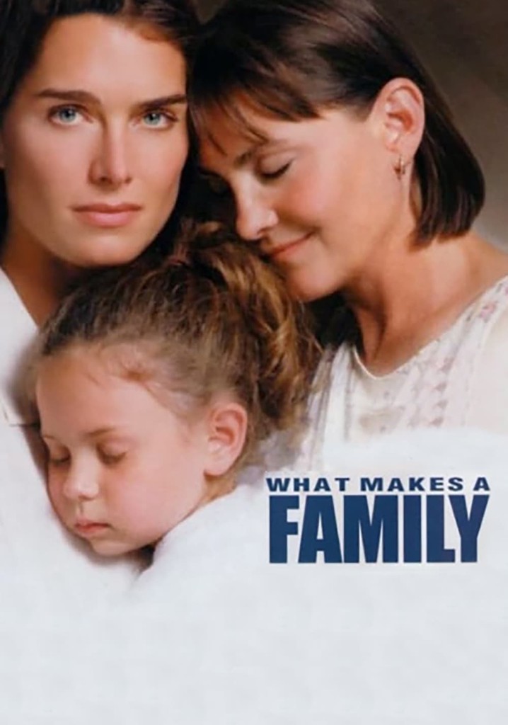 What Makes a Family poster