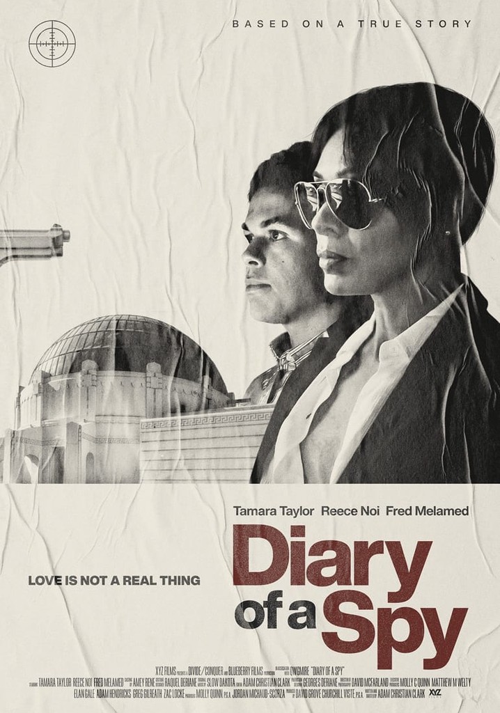 Diary of a Spy poster