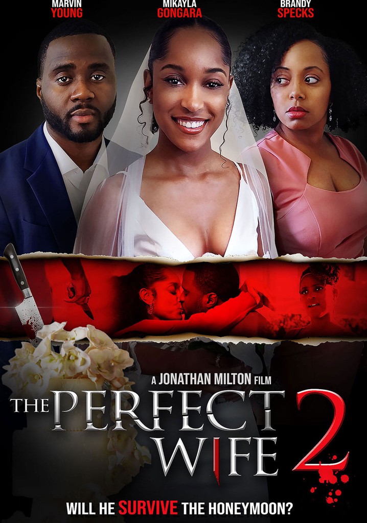 The Perfect Wife 2 poster