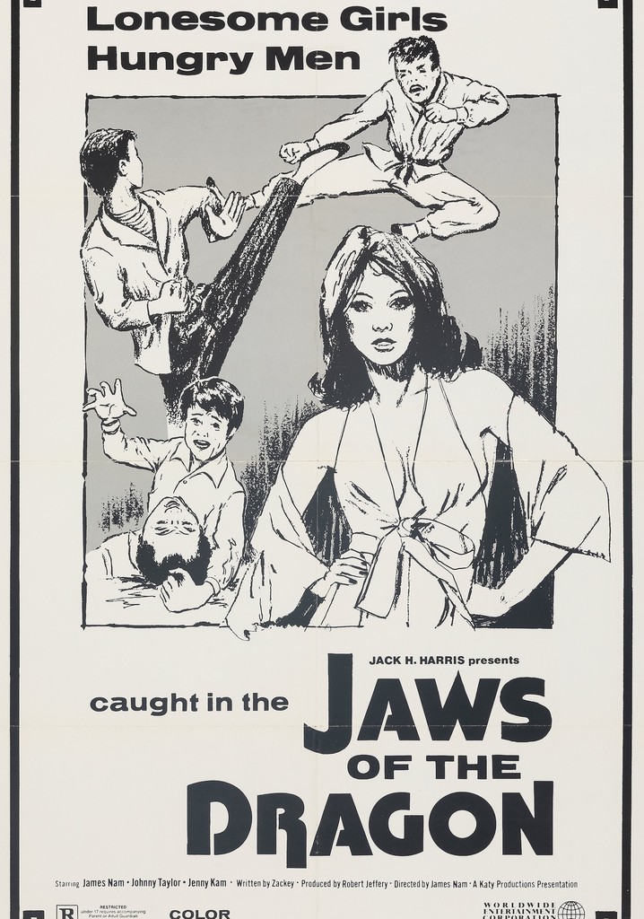 The Fierce One poster
