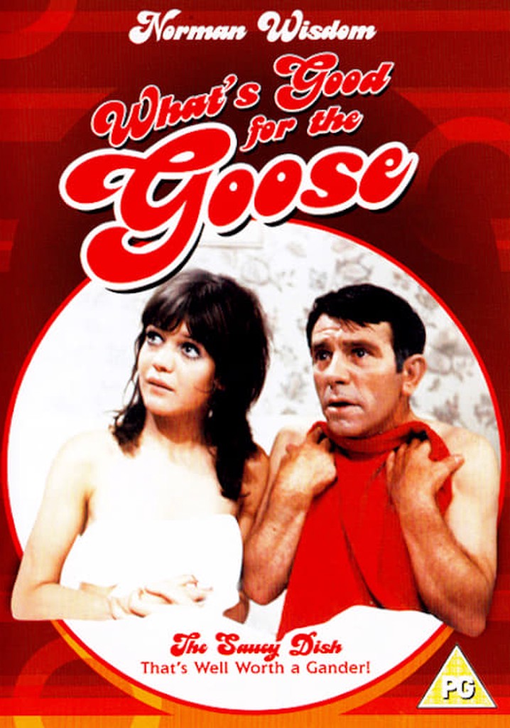 What's Good for the Goose poster