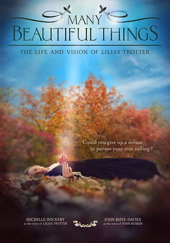 Many Beautiful Things poster